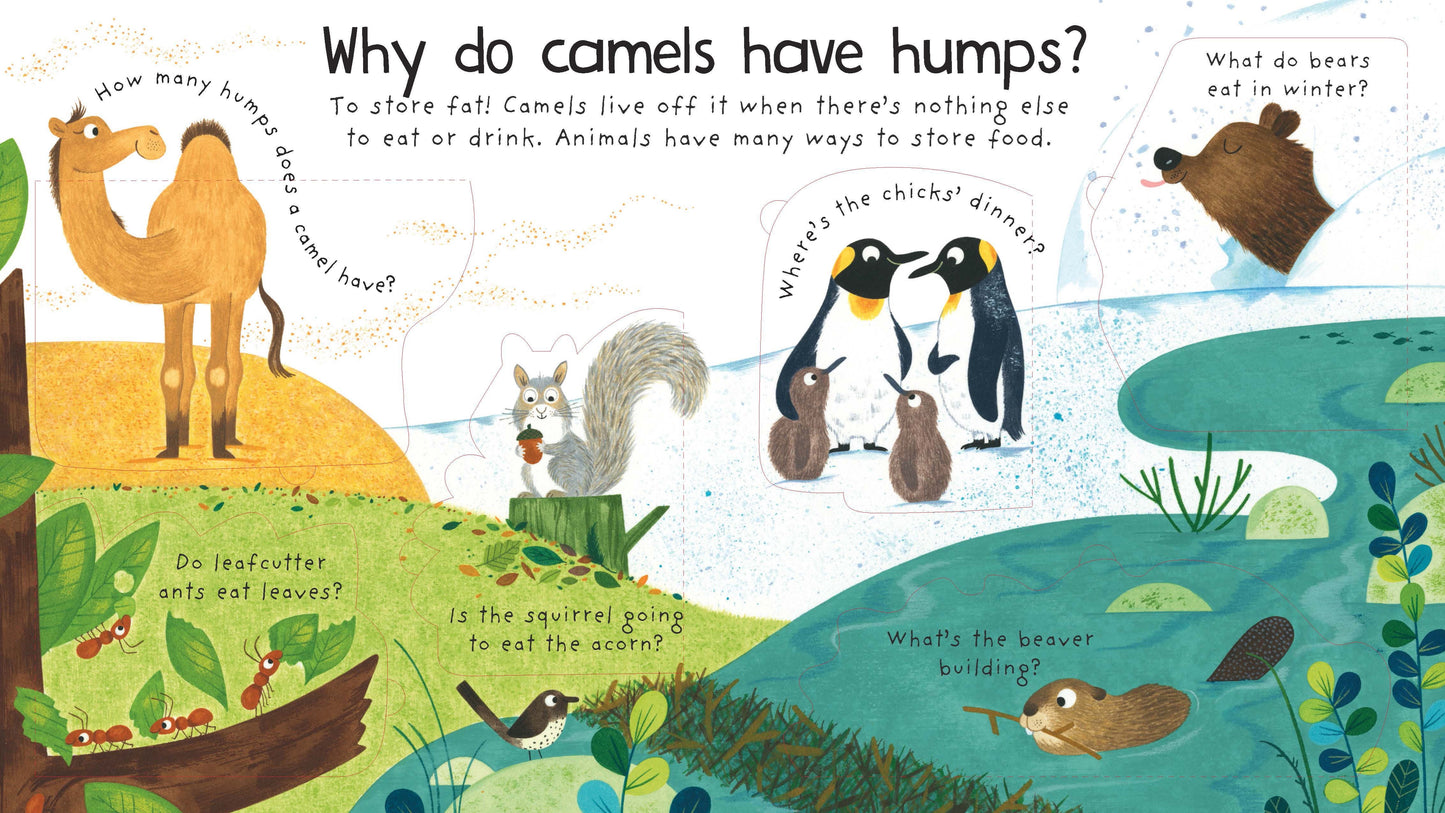 Why Do Tigers Have Stripes (Lift The Flap First Q&A) (Board)