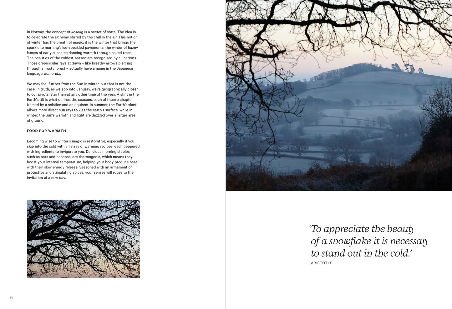 Winter Wellness: Nourishing recipes to keep you healthy (HB)