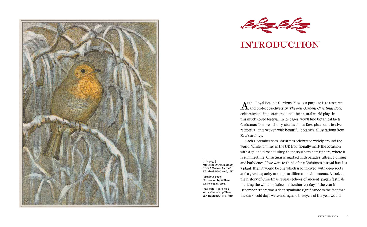 Kew Gardens Christmas Book (HB)