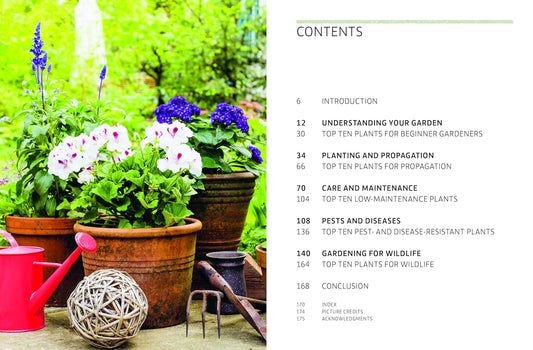 Kew Gardens: Answers For Everyday Gardeners