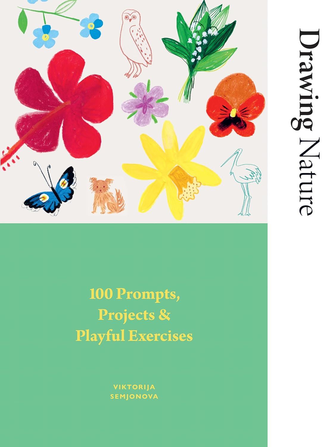 Drawing Nature: 100 Prompts, Projects & Playful Exercises