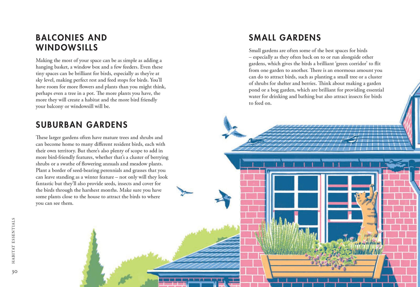 Planting for Garden Birds: A Grower’s Guide