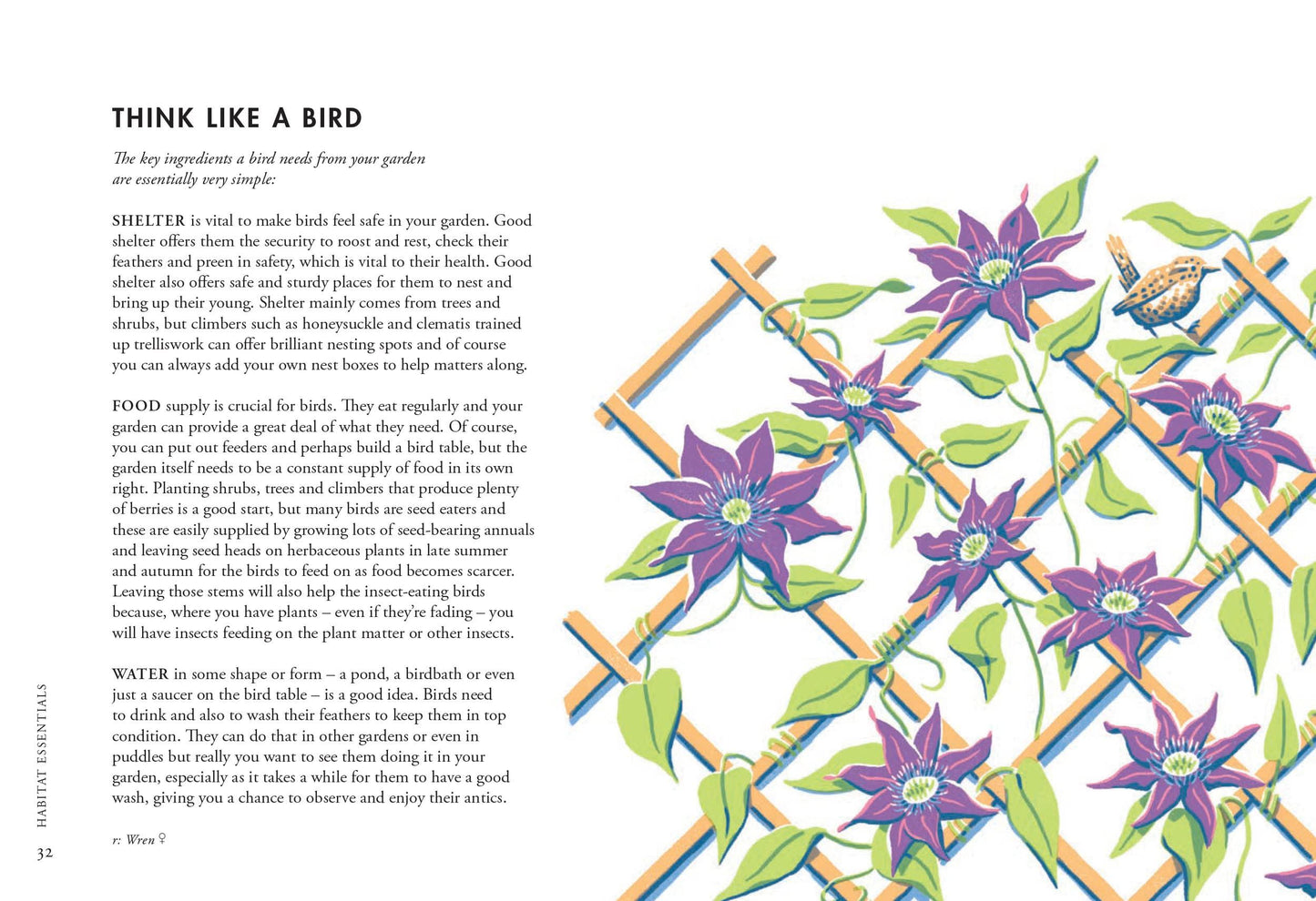 Planting for Garden Birds: A Grower’s Guide