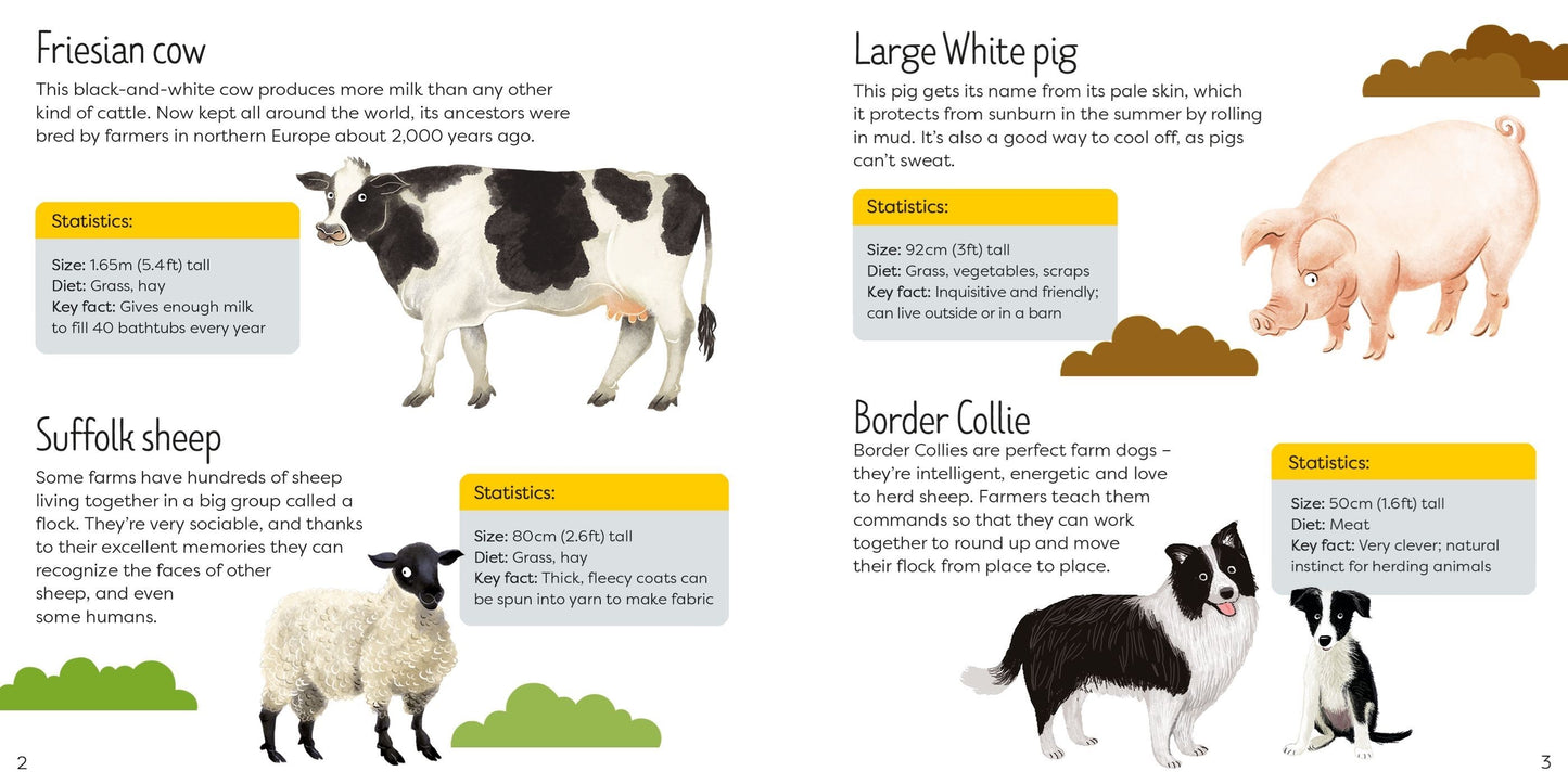Usborne Book & Jigsaw: Farm (49 Piece Puzzle)
