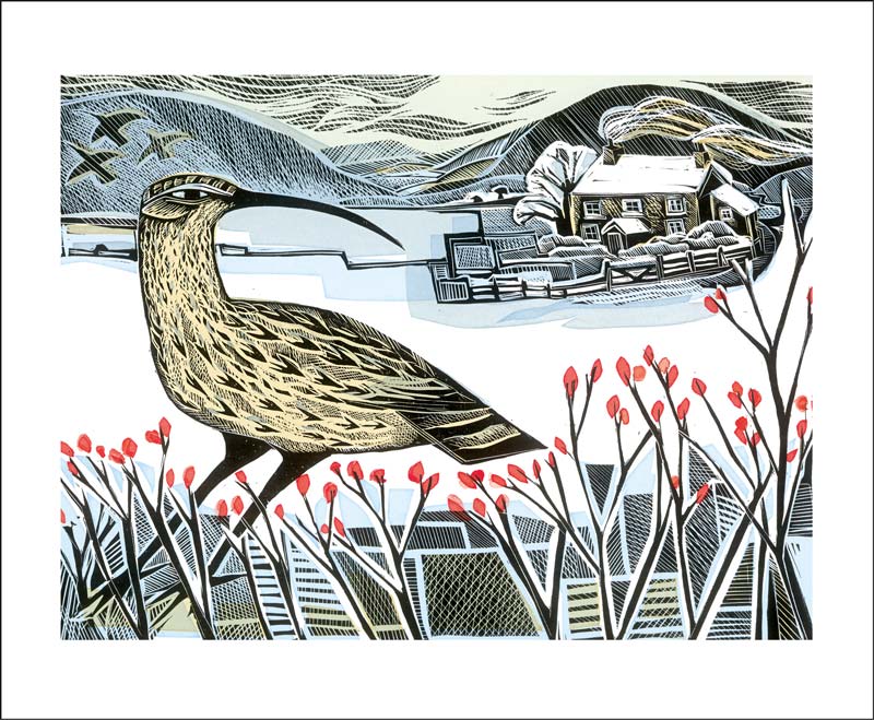 Curlew Christmas Card