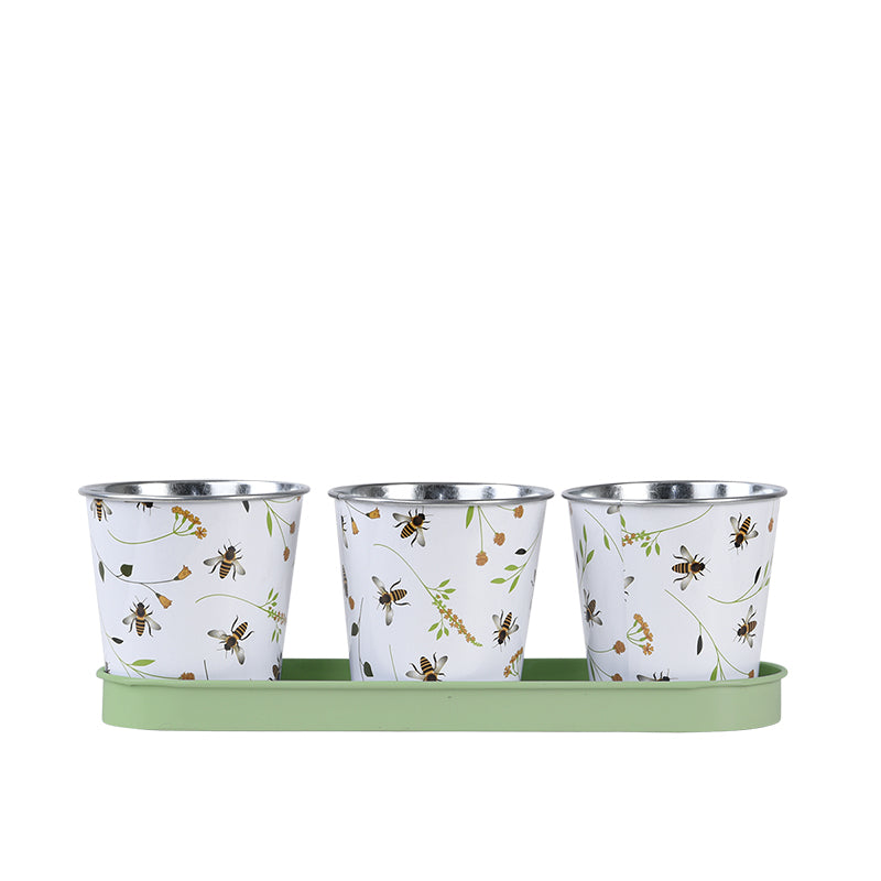 Bee Print Pots & Tray
