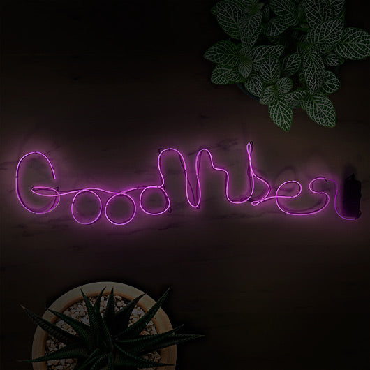 Neon Light - DIY Kit