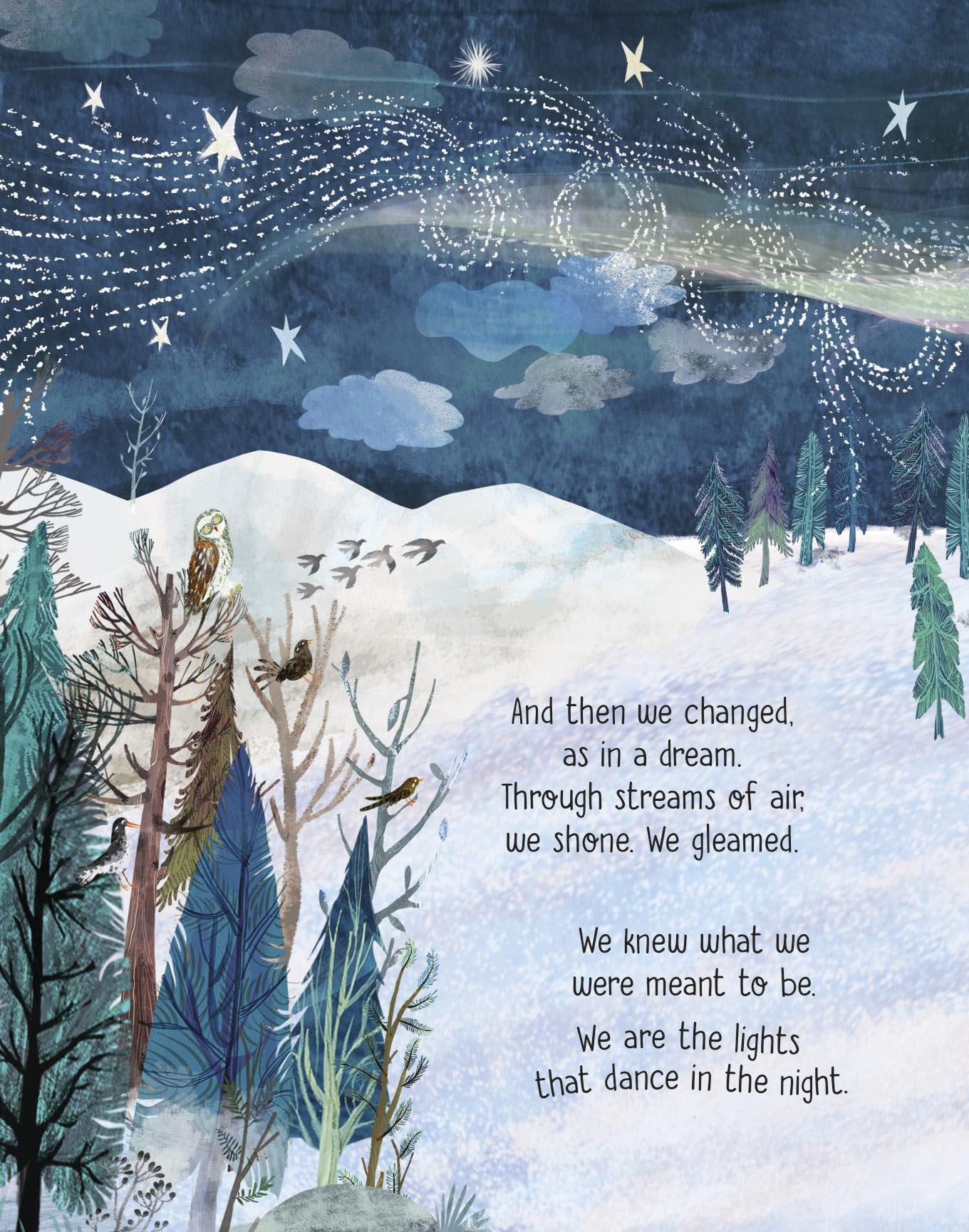 Lights that Dance in the Night