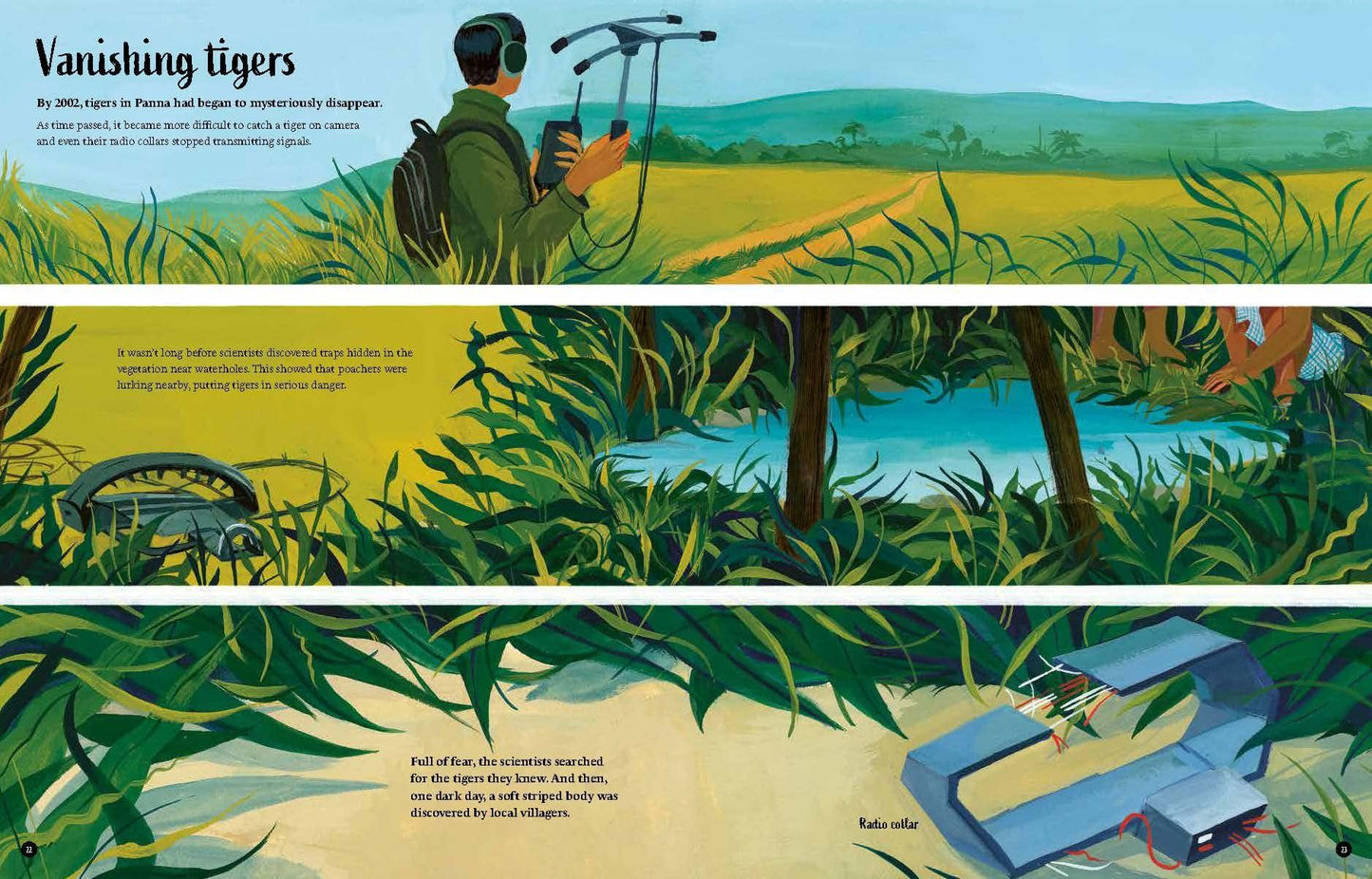 Tigers’ Tale: A Conservation Story (HB)