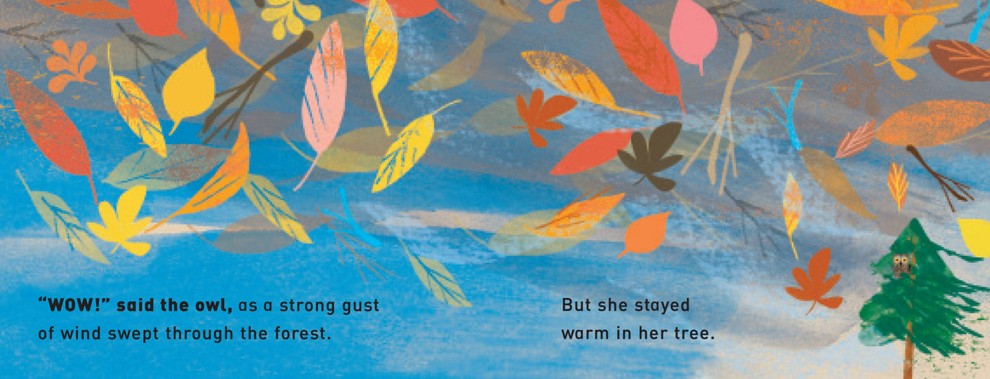 Wow It’s Snowing: A First Book Of Weather (Board)