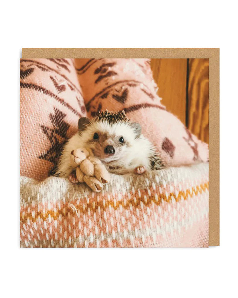 Hedgehog in Bed