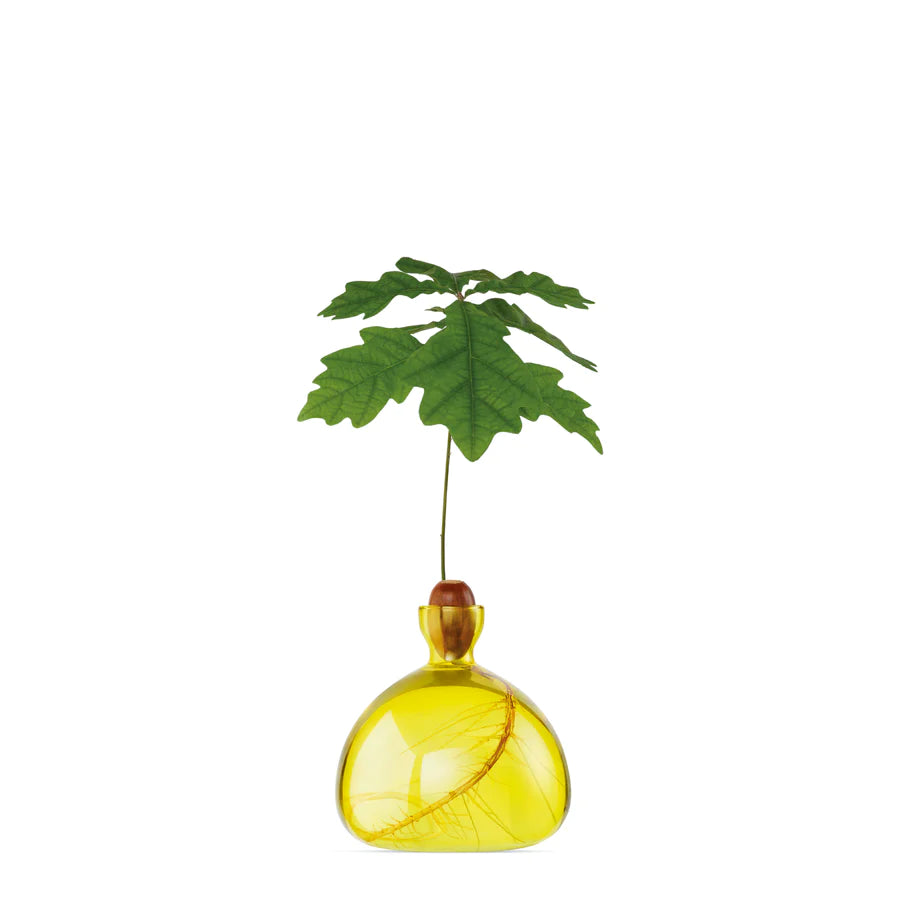 Acorn Vase Sunlight Yellow