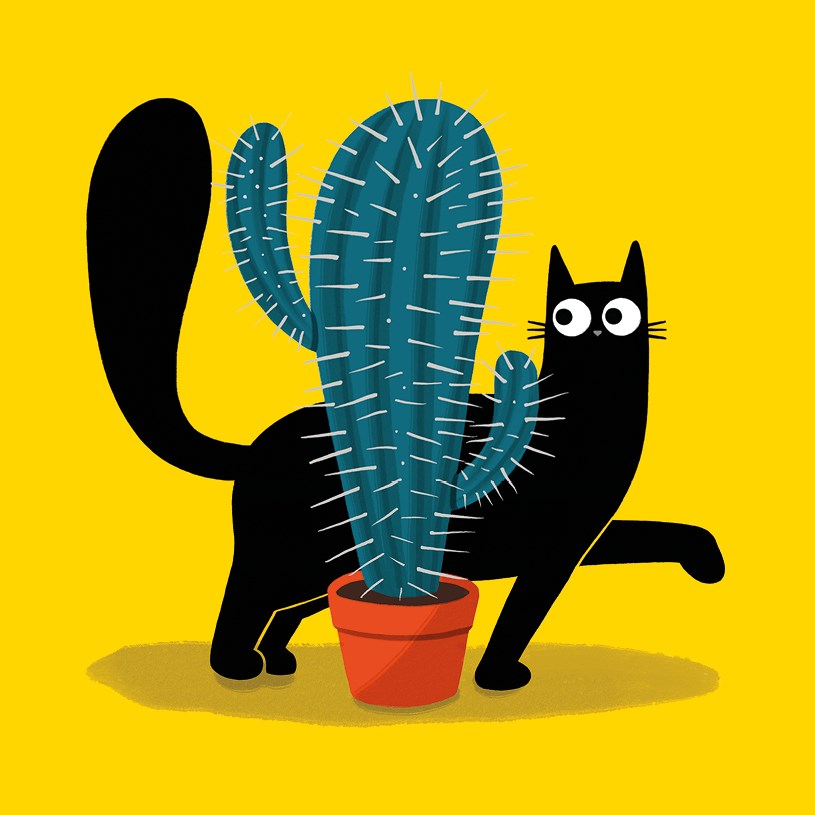 Cactus Cat