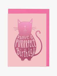 Have a Purrrfect birthday - Raspberry Blossom