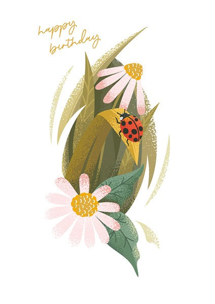 Ladybird - Modello Card
