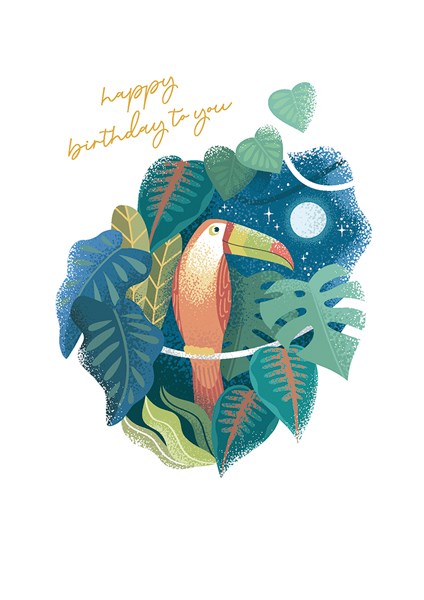 Toucan at Night