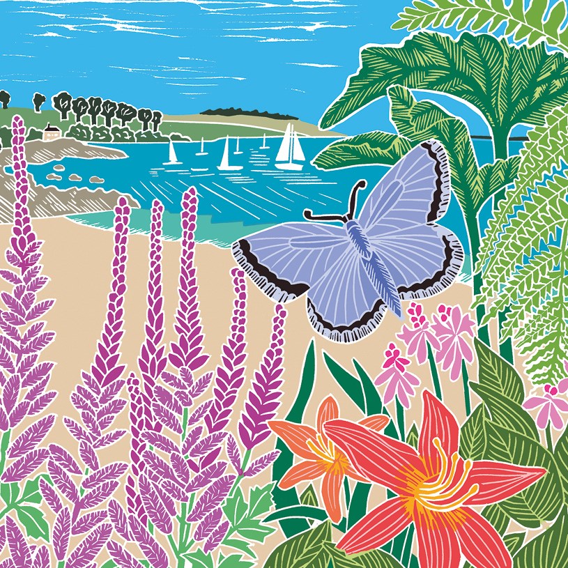 Butterfly Beach