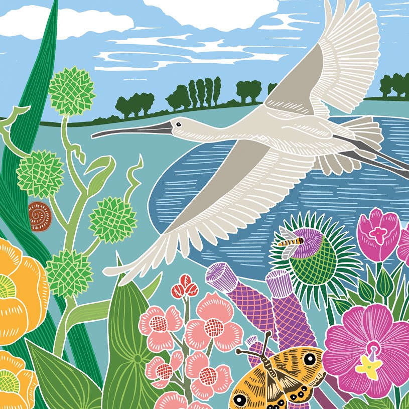 Spoonbill