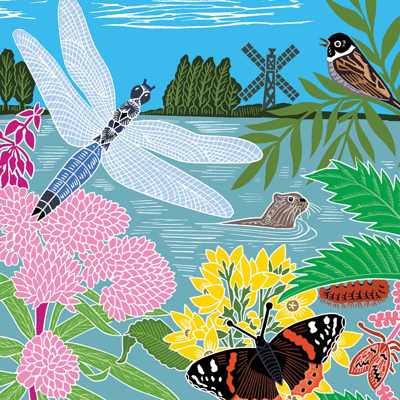 Waterside Wildlife