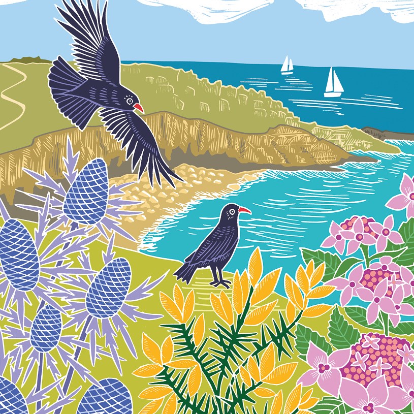 Choughs on the Cliffs
