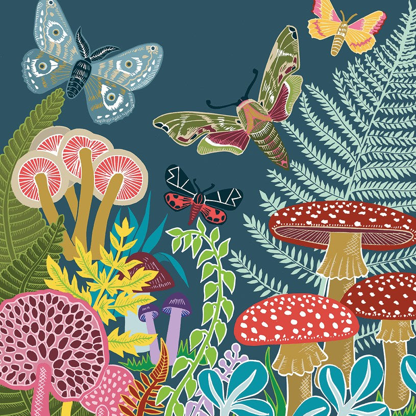Mushrooms & Moths