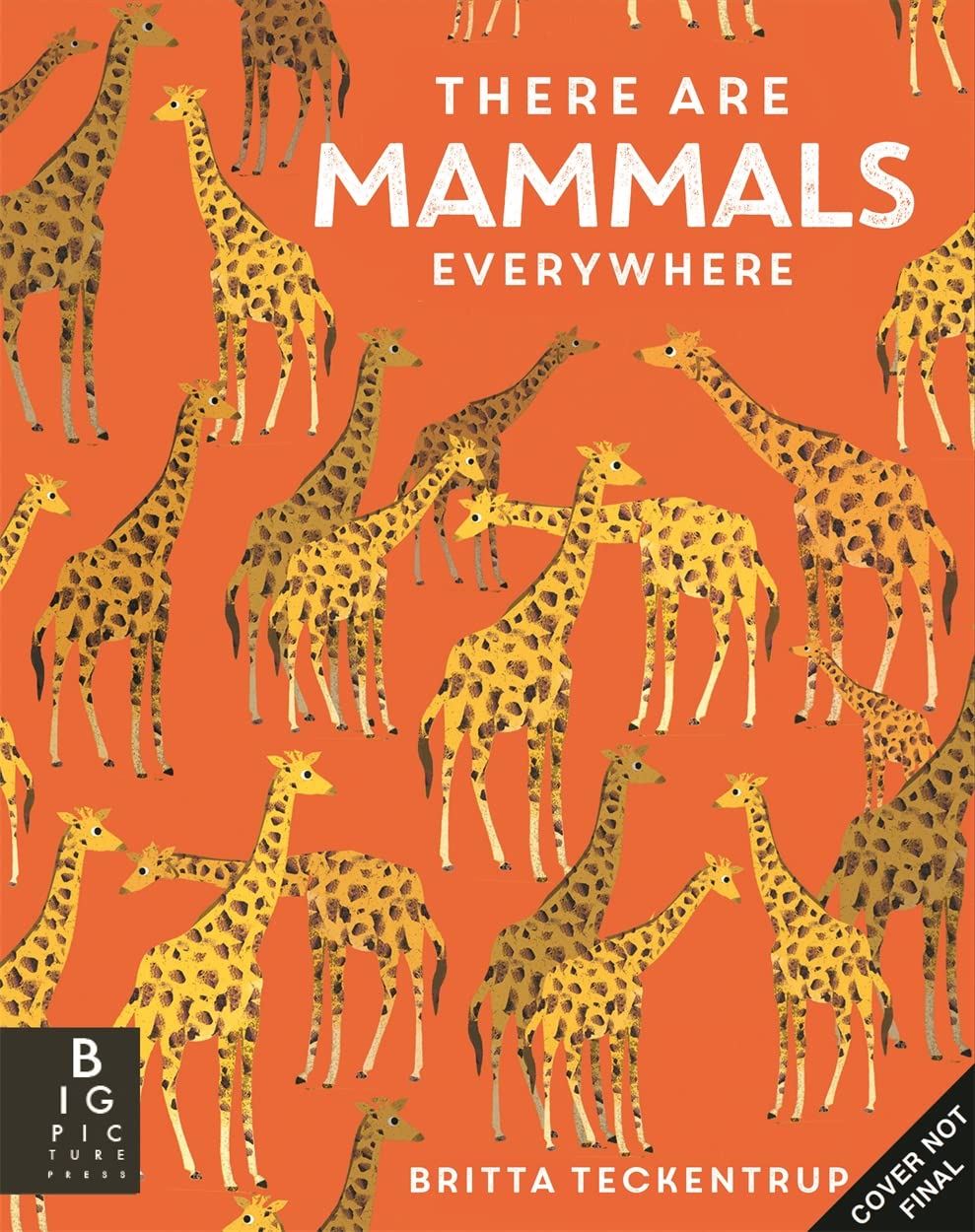 There are Mammals Everywhere