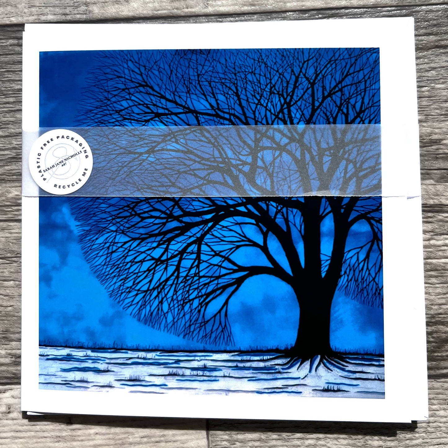 Beauty in Winter - Sarah Jane Nicholls Art
