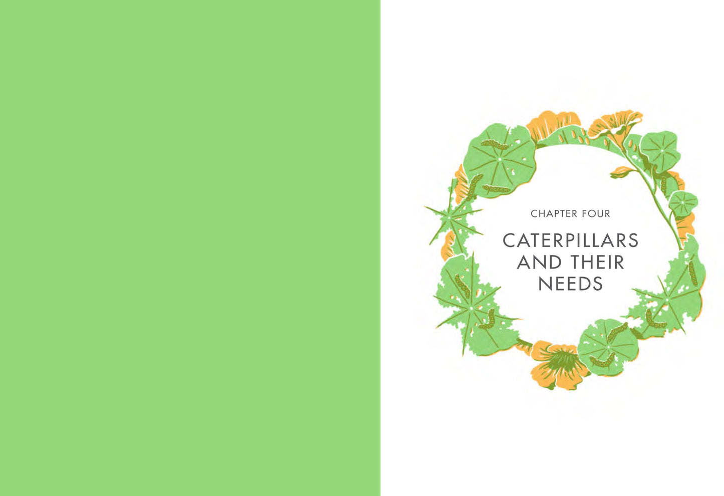 Planting for Butterflies