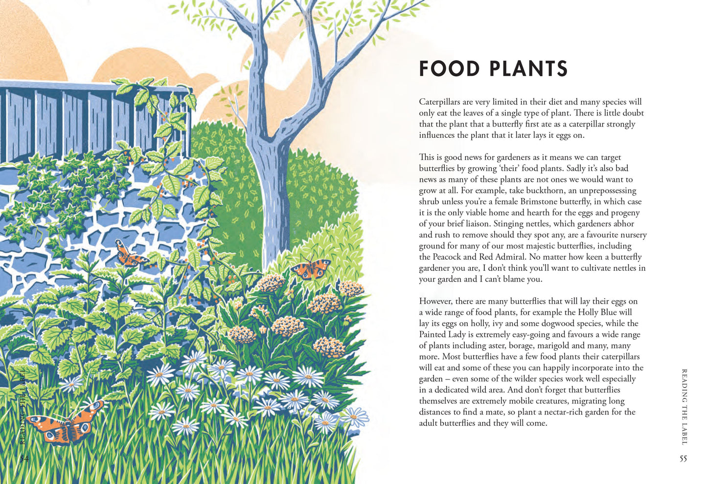 Planting for Butterflies