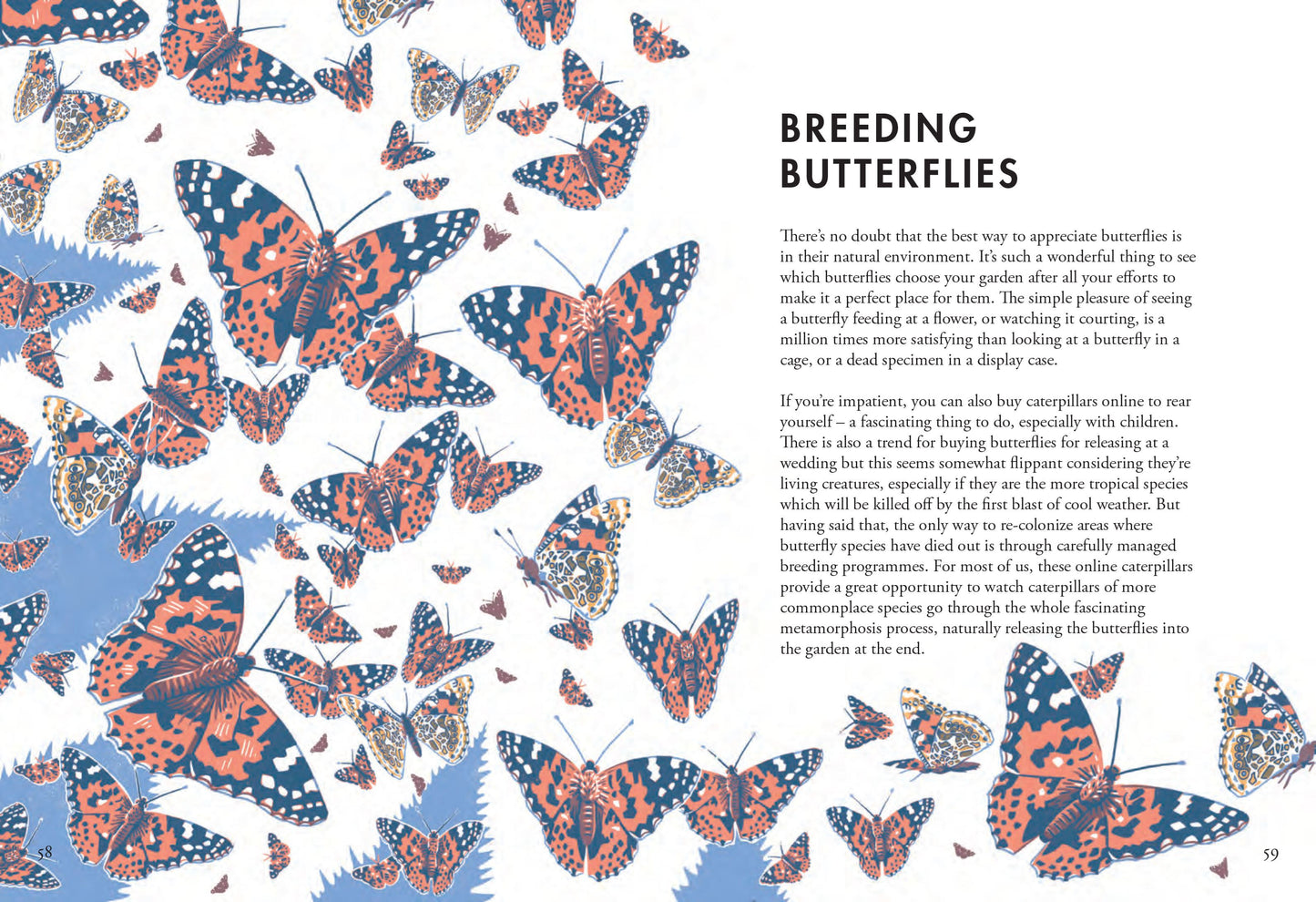Planting for Butterflies