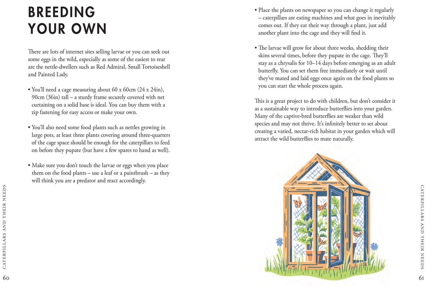 Planting for Butterflies