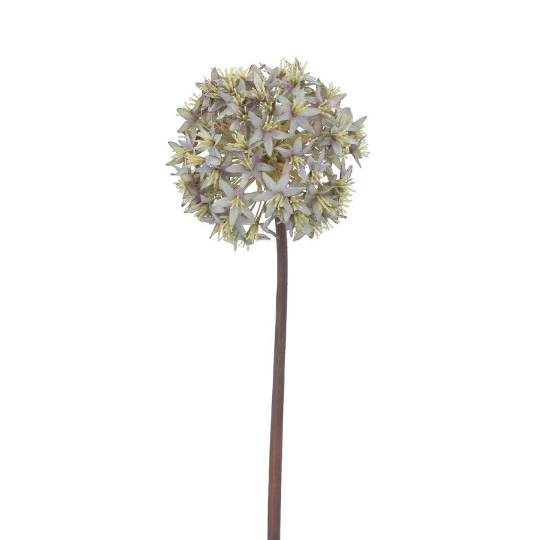 Flower Stem 60cm - Antique Blue Allium