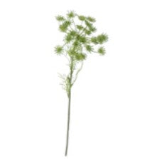 Flower Stem 63cm - Green Queen Annes Lace