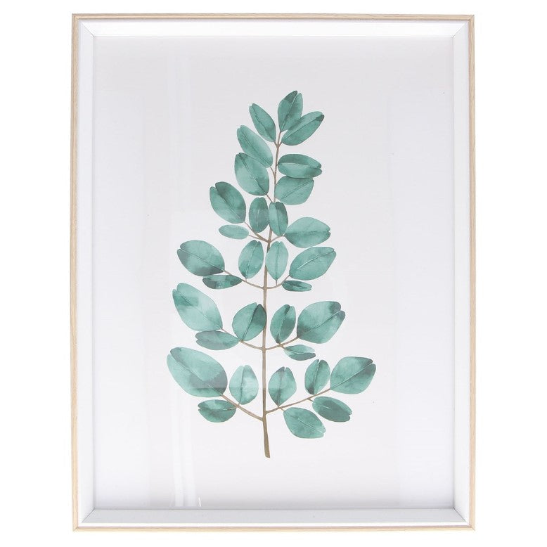 Framed Print 45cm - Pod Branch