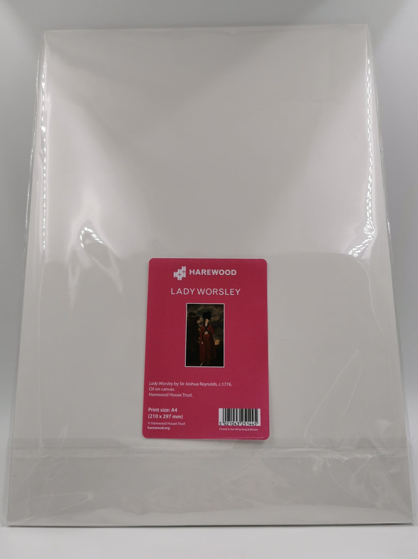 Lady Worsley by Joshua Reynolds - A4 Print