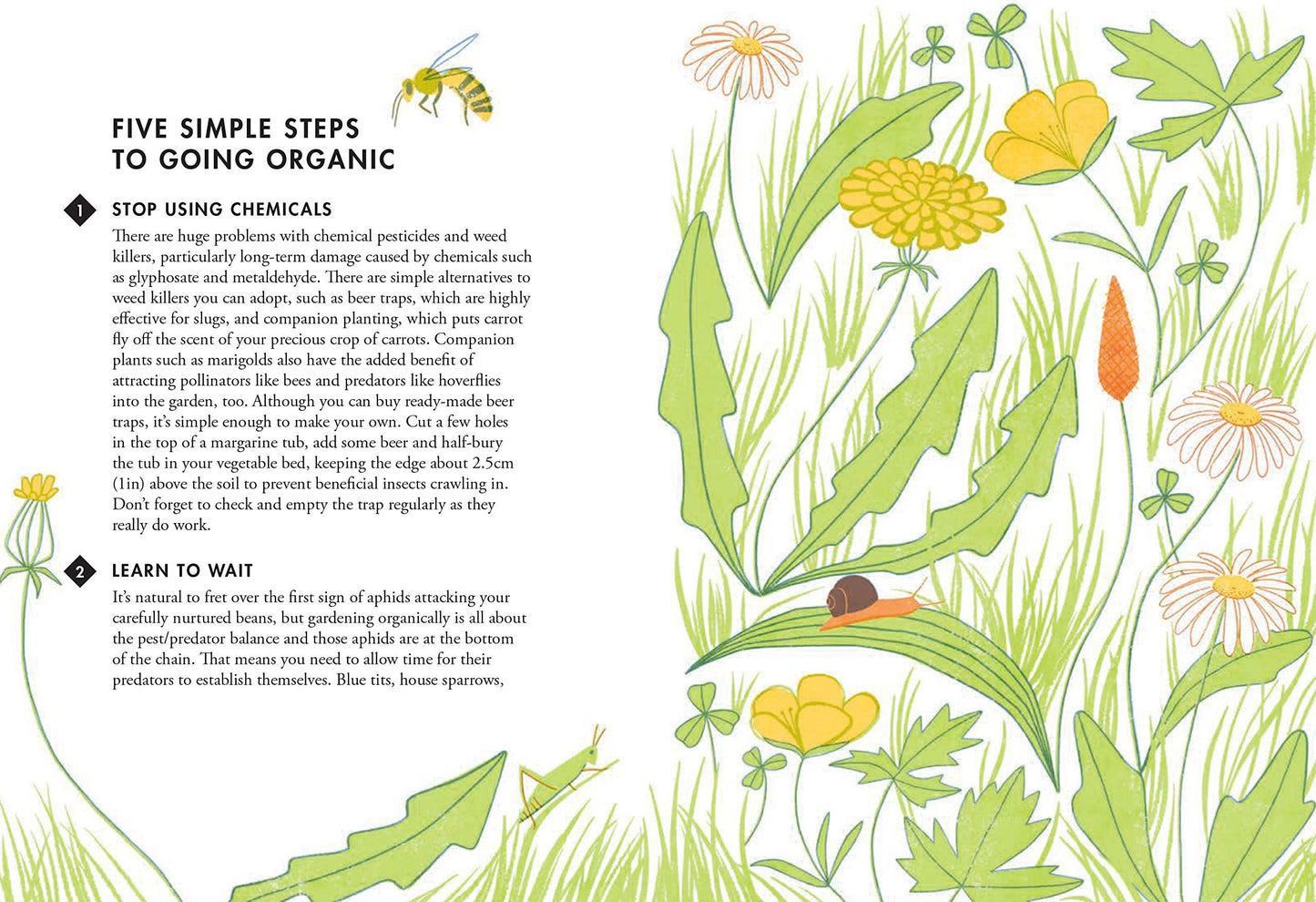 Planting for Wildlife