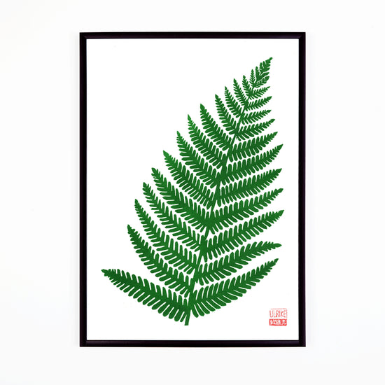 Fern Lino A3 Print