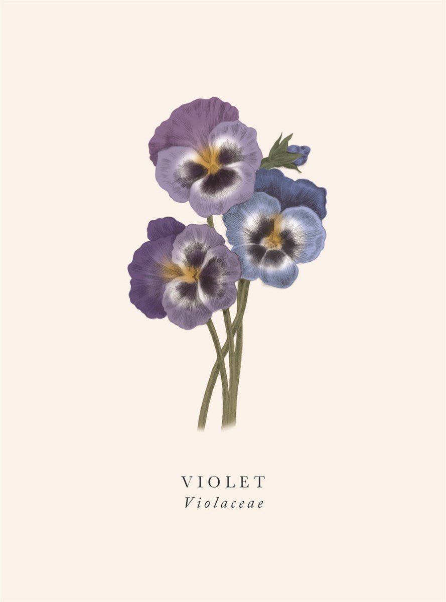 Violet Card