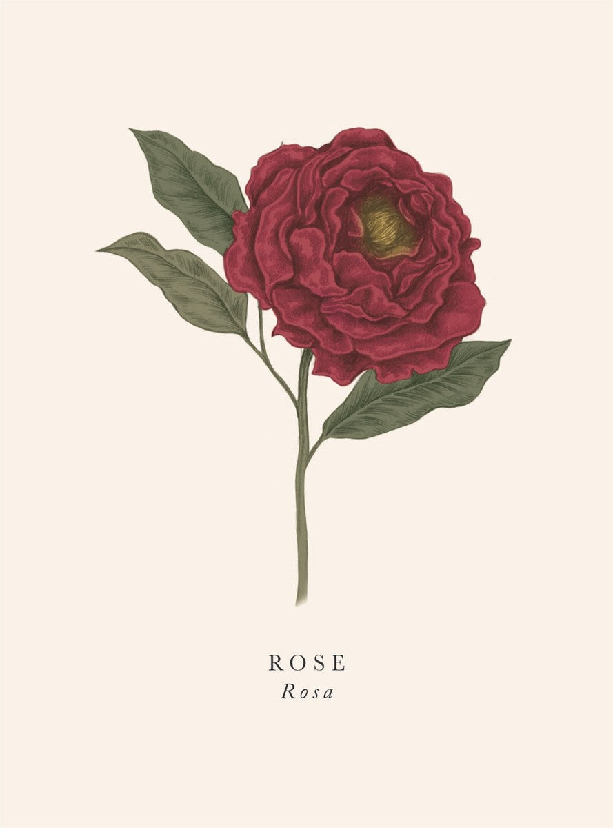 Rose Card