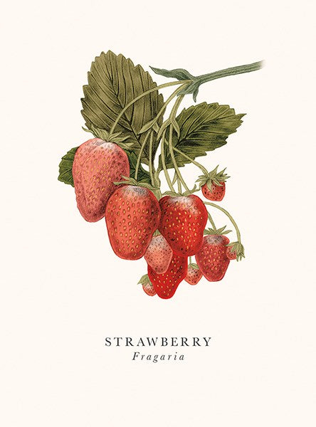 Strawberry Card