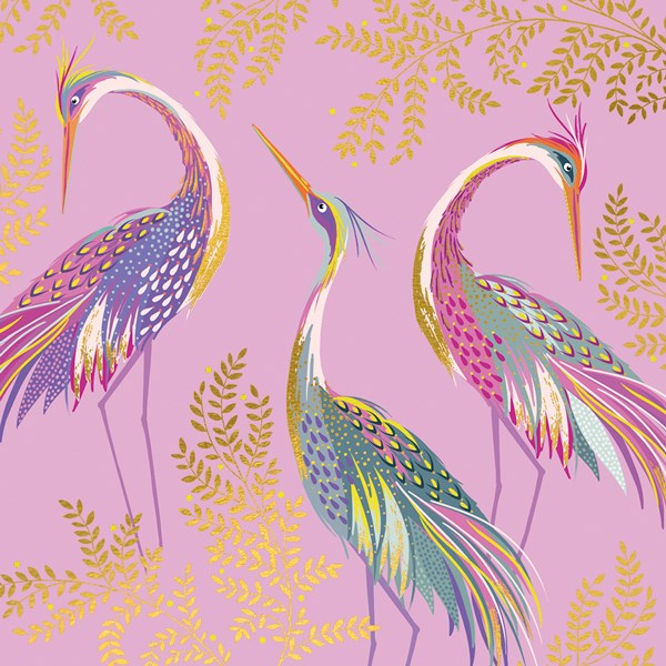 Three Pink Cranes - Sarah Miller