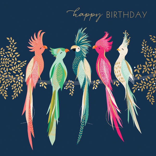 Happy Birthday Cockatoos - Sarah Miller