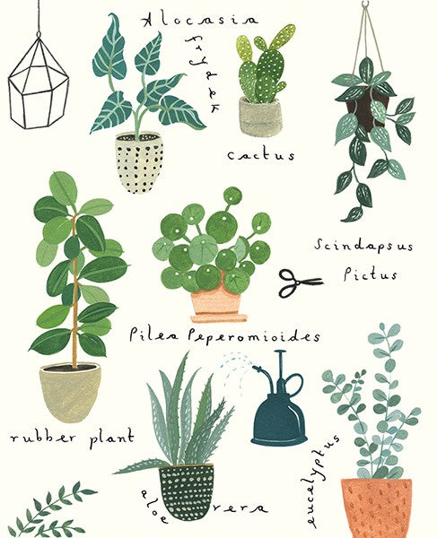 Houseplants - Veryan VR12A