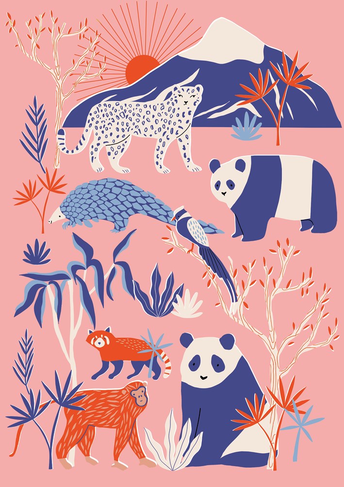 Pandas & Monkeys