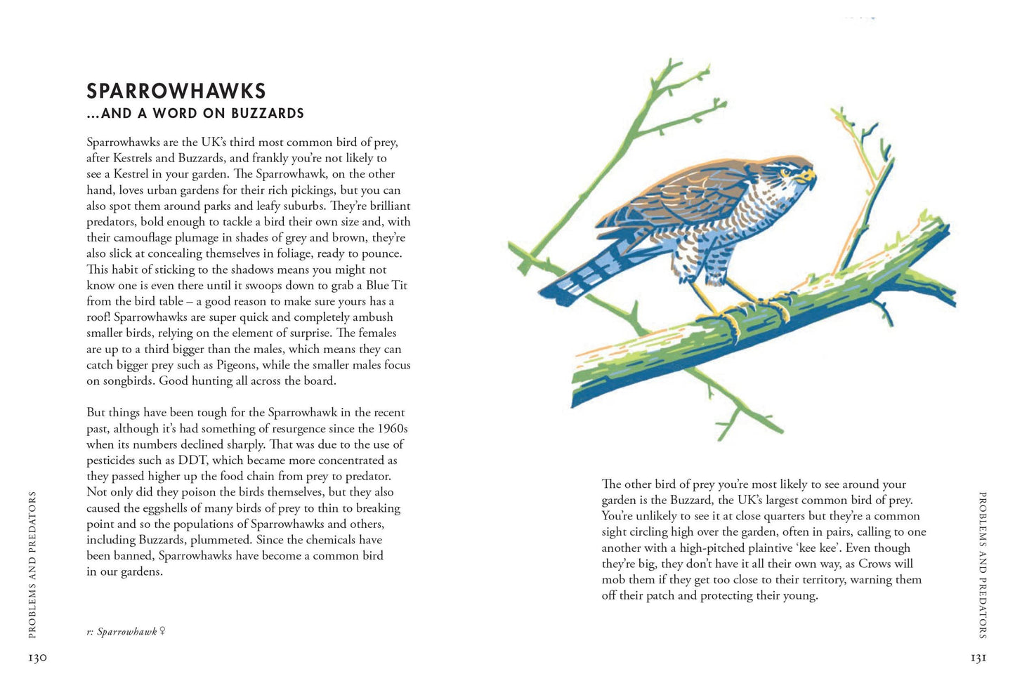 Planting for Garden Birds: A Grower’s Guide