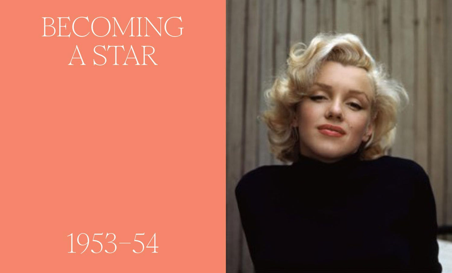 Marilyn Monroe: A Portrait