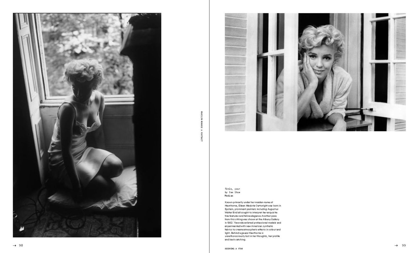 Marilyn Monroe: A Portrait