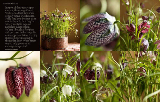 A Year in Flowers: Inspiration for Everyday Living