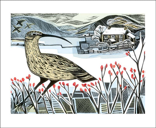 Curlew Christmas Card