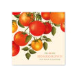 Homegrown Wall Calendar 2026